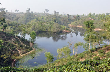 Madhabpur Lake Srimangal Tour Package